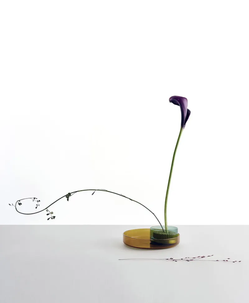 Ichendorf Milano Vasen|Tabletts|Kenzan Tablettset