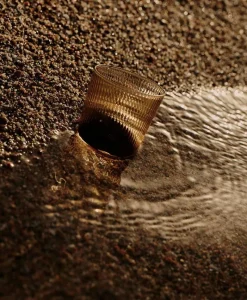 R+D.Lab Gläser|World Of Wine|Luisa Acqua Wasserglas Set