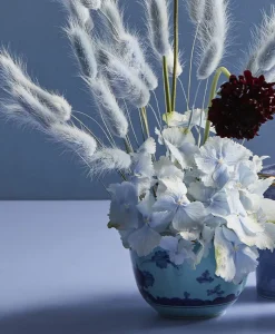 Ginori 1735 Porzellan|Oriente Italiano Schalen