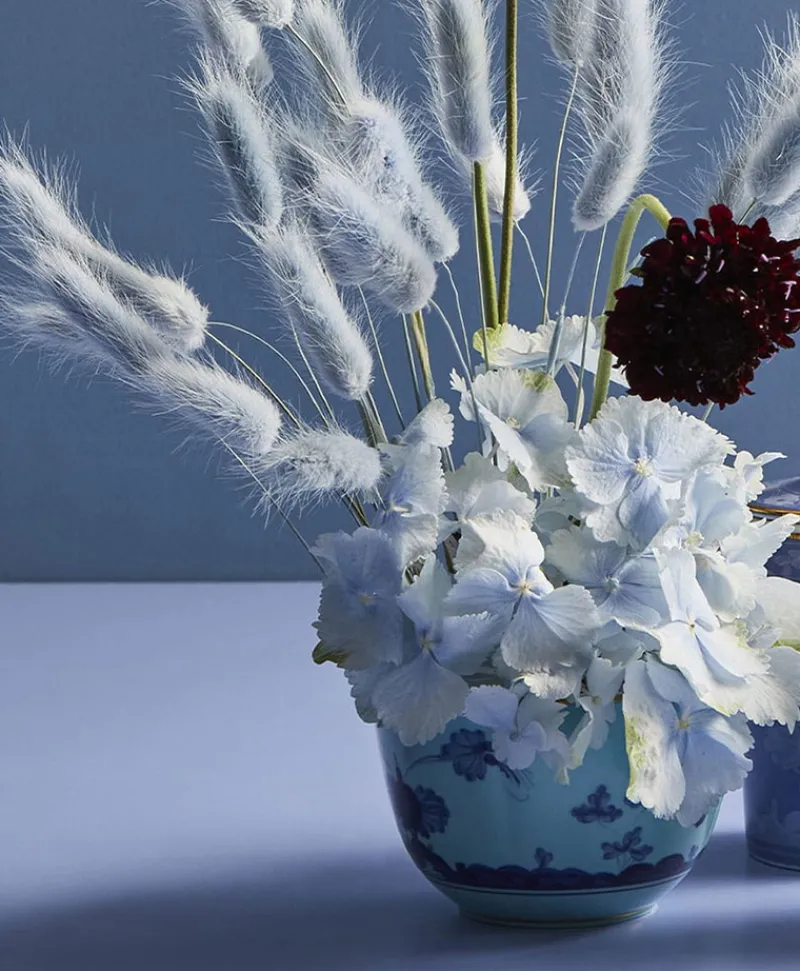 Ginori 1735 Porzellan|Oriente Italiano Schalen