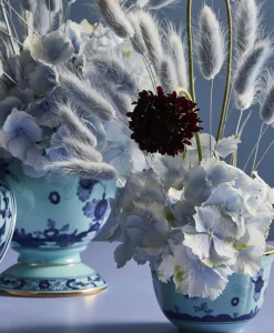 Ginori 1735 Porzellan|Oriente Italiano Schalen