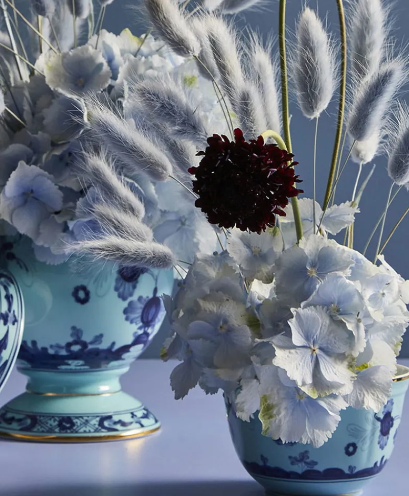 Ginori 1735 Porzellan|Oriente Italiano Schalen