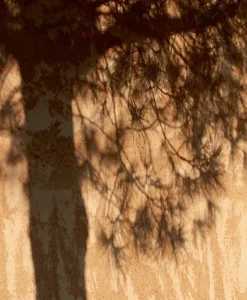 u00c9litis Teppiche|Outdoor Teppich Amapola