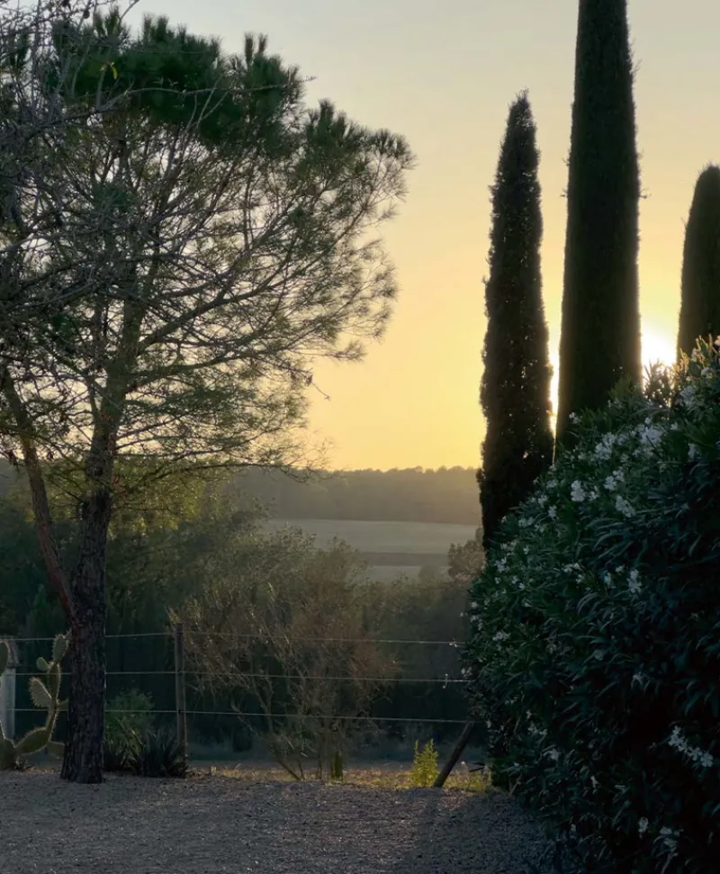 u00c9litis Teppiche|Outdoor Teppich Diego et Frida