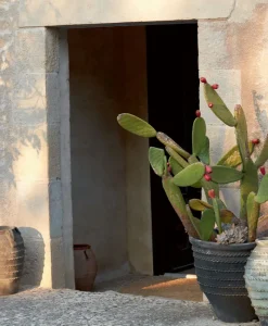 u00c9litis Teppiche|Outdoor Teppich Mirador