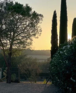 u00c9litis Teppiche|Outdoor Teppich Mirador