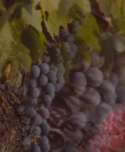 Dr. Vranjes Firenze Raumduft|Refill Nachfüller für Diffuser