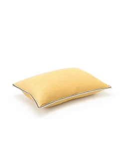 u00c9litis Kissen|Samtkissen Aristote mit Paspelveredelung