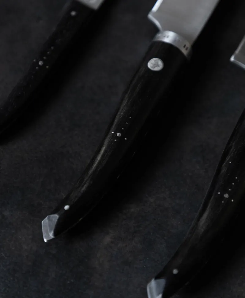 Laguiole en Aubrac Messer|Set aus 3 Küchenmessern "Gourmet"