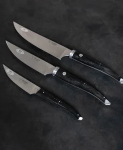 Laguiole en Aubrac Messer|Set aus 3 Küchenmessern "Gourmet"