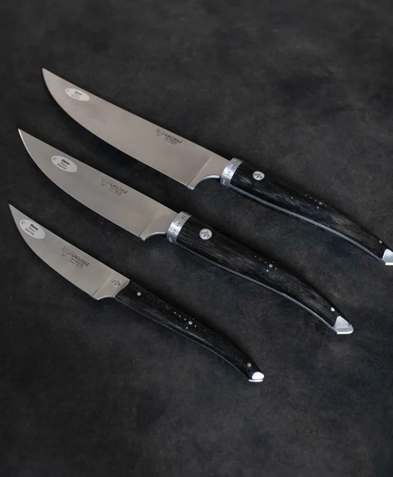 Laguiole en Aubrac Messer|Set aus 3 Küchenmessern "Gourmet"