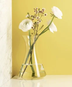 Sieger by Ichendorf Glasflaschen, Karaffen Und Dekanter|World Of Wine|STAND UP Karaffe