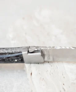 Laguiole en Aubrac Messer|Besteck|Taschenmesser "Karbon mit Farbreflexen"