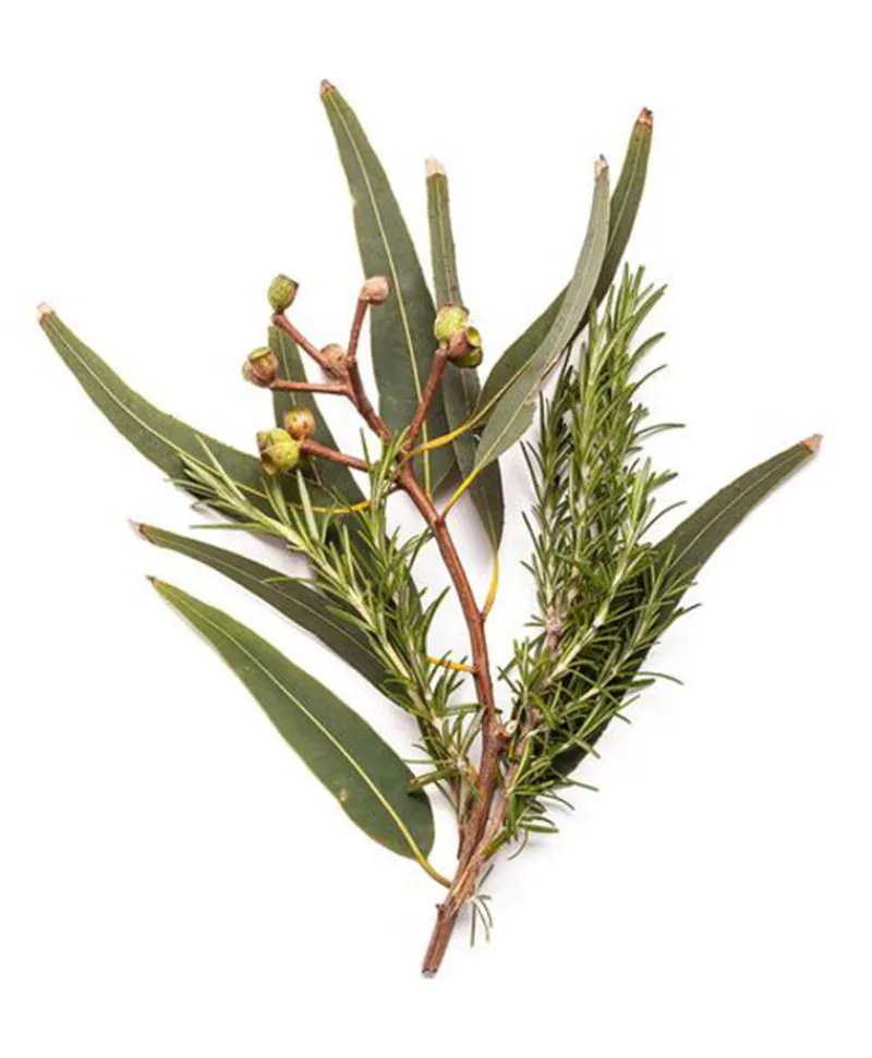 BONDI WASH Raumduft|Ätherisches Öl - ESSENTIAL OIL