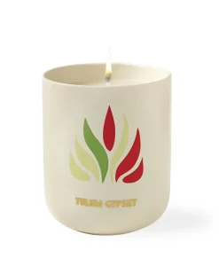 Assouline Travel Books Von Assouline|Duftkerzen|Travel from Home Candles